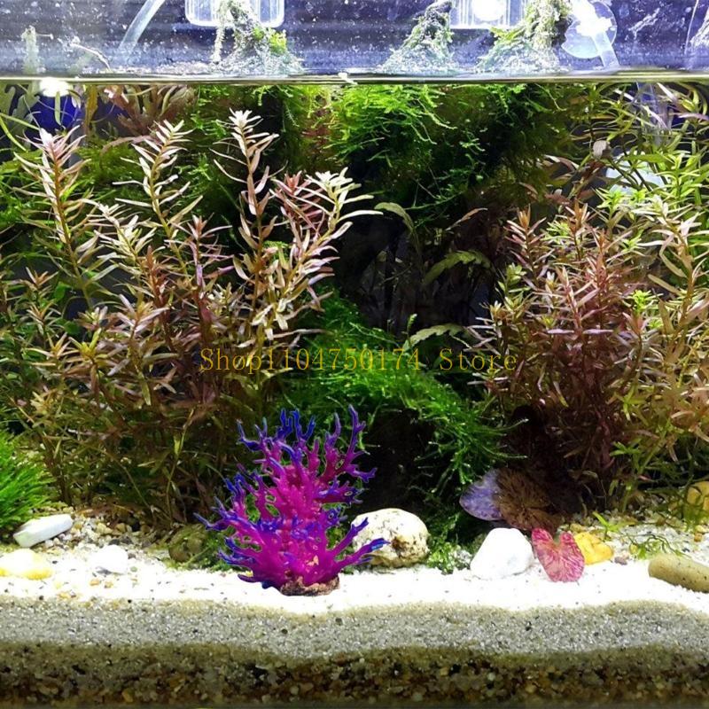 Kunstmatige boom decoratieve p - Planted Aquarium For Sale recensie en prijs