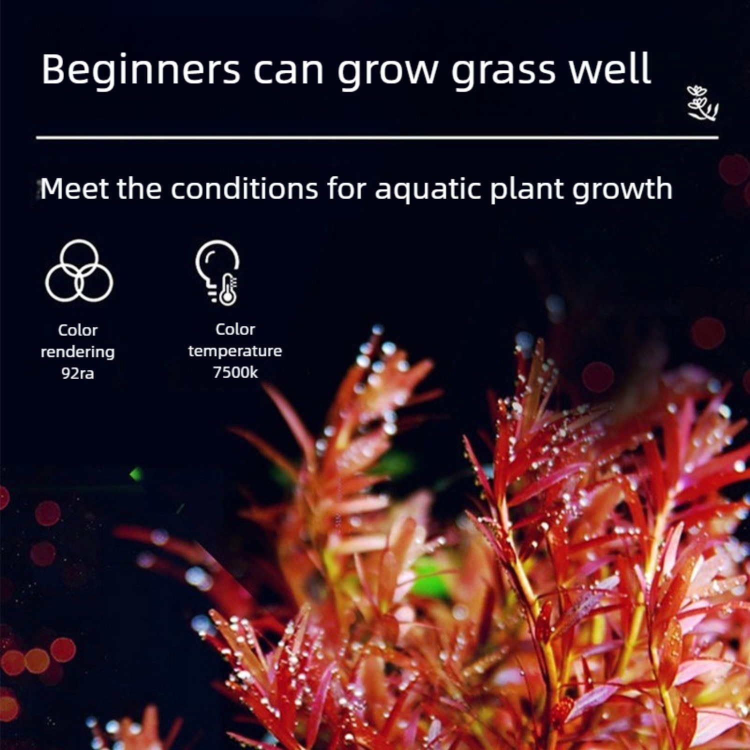 LED Aquariumverlichting voor 1 - Planted Aquarium Freshwater recensie en prijs