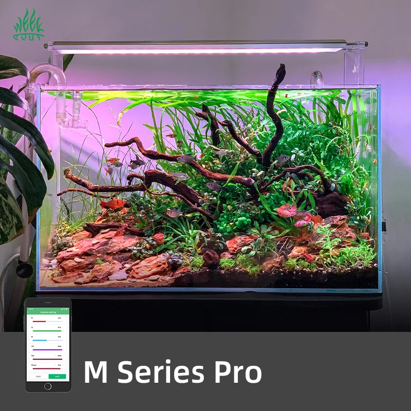 ZXY Hot Sales WEEK AQUA M1200P - Planted Aquarium For Sale recensie en prijs