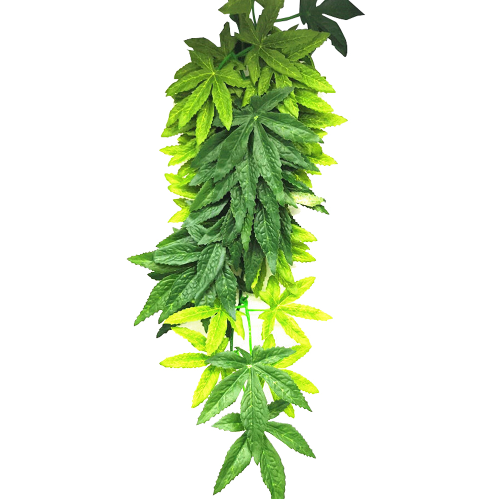 HOT KOOP 30/40/50 CM Aquarium  - Planted Aquarium For Sale recensie en prijs