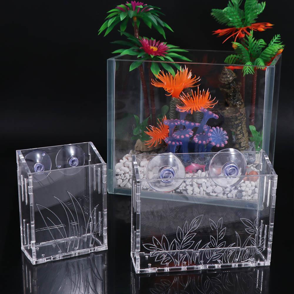 Wandhangende aquariumplantenho - Aquarium Planted Wall recensie en prijs