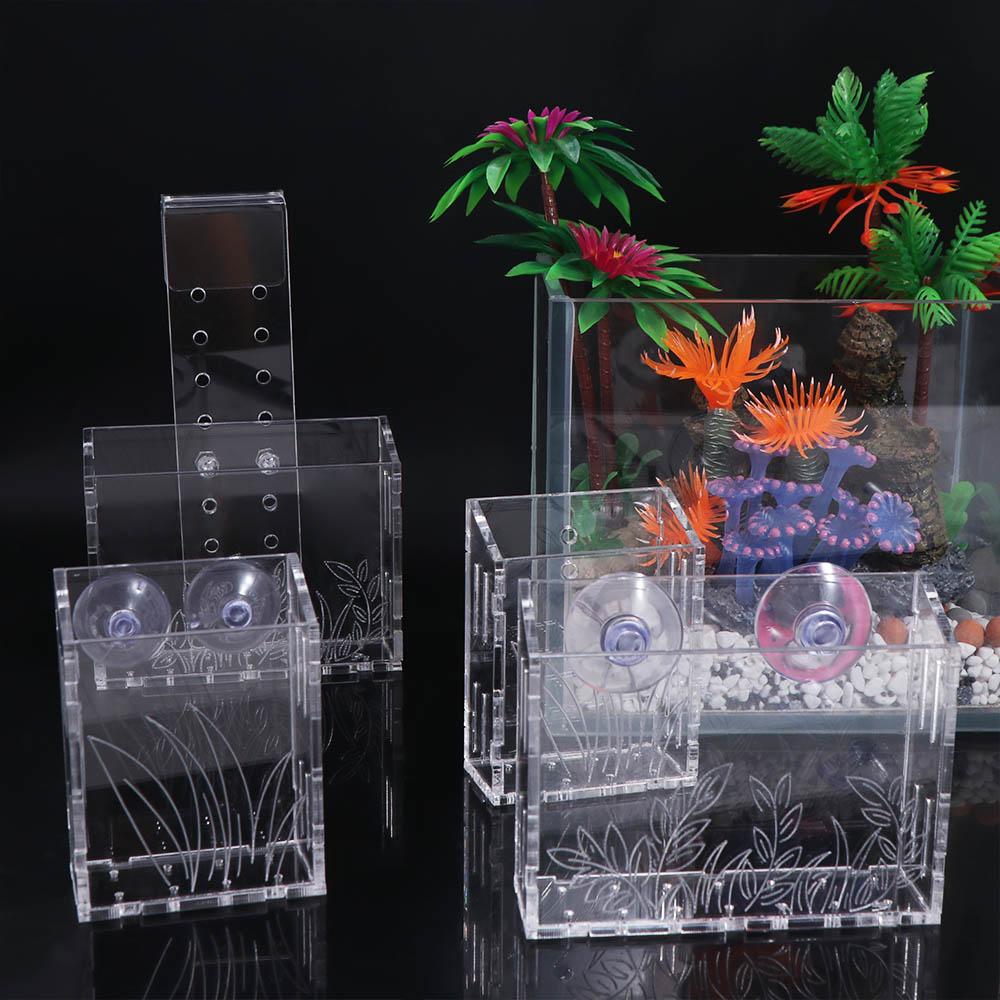 Wandhangende aquariumplantenho - Aquarium Planted Wall recensie en prijs