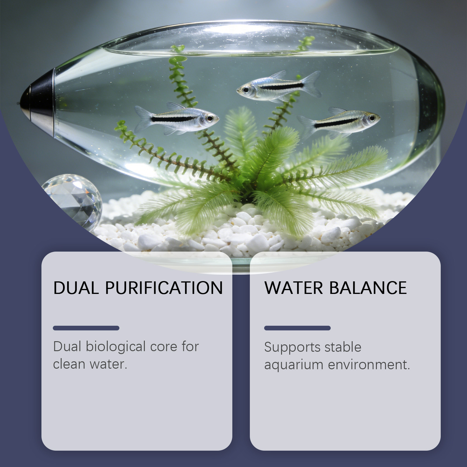 Algenverwijderingstabletten vo - Planted Aquarium Algae Remover recensie en prijs