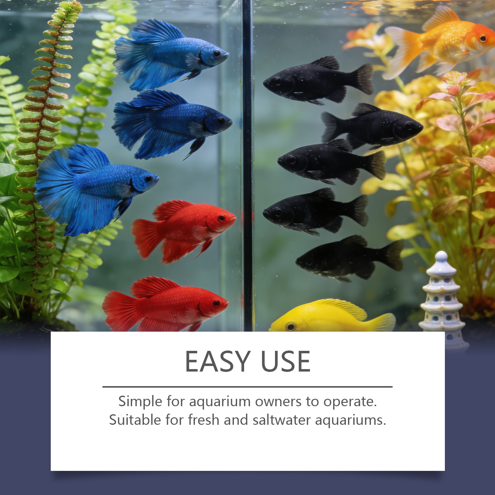 Algenverwijderingstabletten vo - Planted Aquarium Algae Remover recensie en prijs