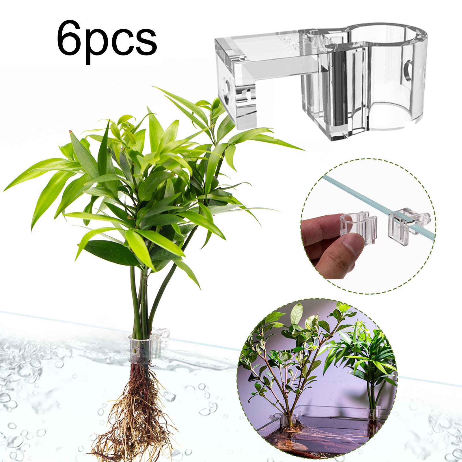 Duurzame transparante plantenh - Aquarium Planted Wall recensie en prijs