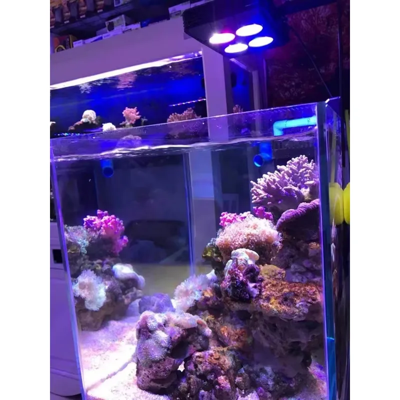 Gako A052 52w Hot Sale Aquariu - Planted Aquarium For Sale recensie en prijs