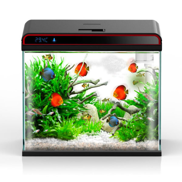 Sunsun 4-in-1 aquariumwatercon - Planted Aquarium Algae Remover recensie en prijs