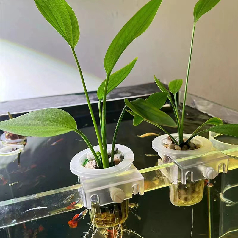 Aquarium Plantmand Hydroponisc - Aquarium Planted Wall recensie en prijs