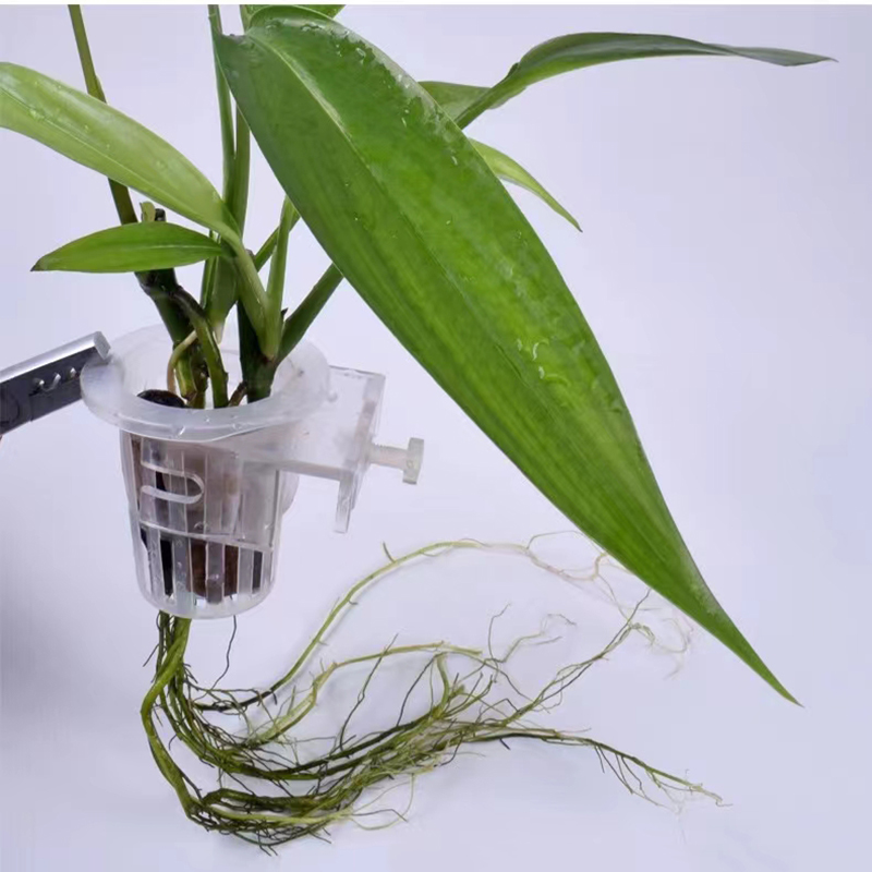 Aquarium Plantmand Hydroponisc - Aquarium Planted Wall recensie en prijs