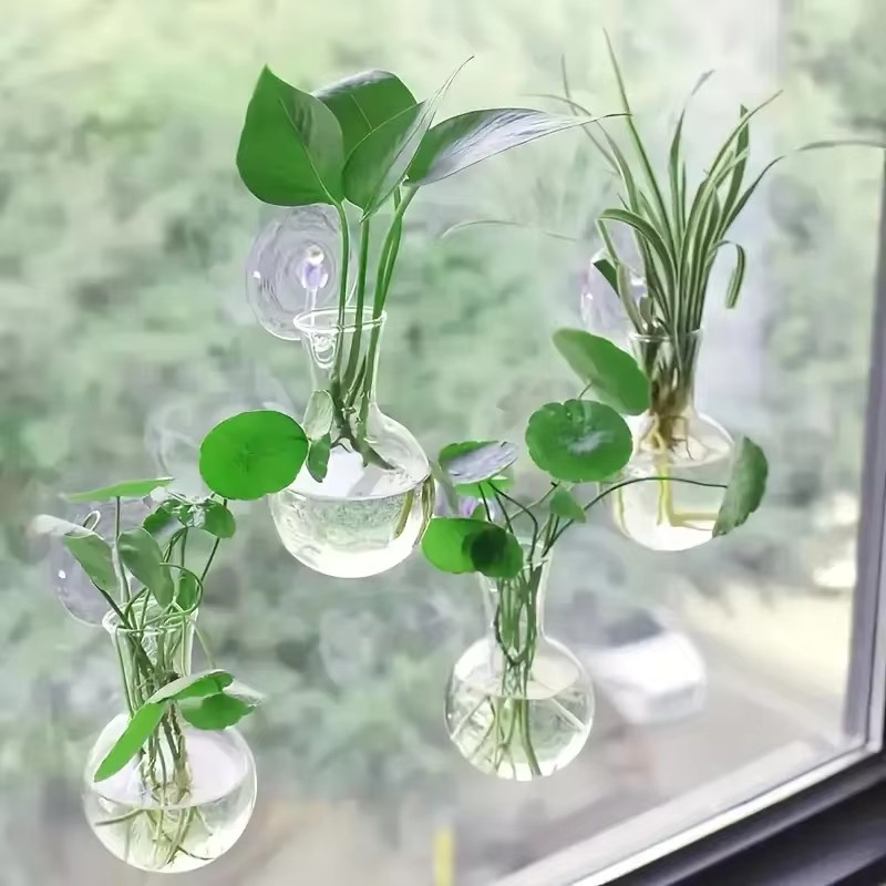 Creatieve halfronde klasse wan - Aquarium Planted Wall recensie en prijs