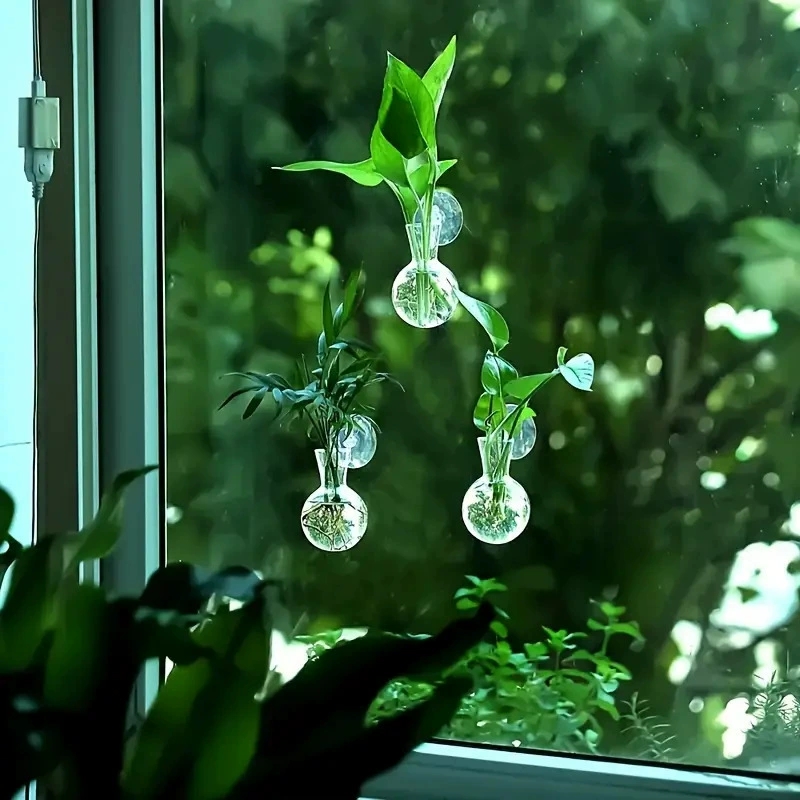 Creatieve halfronde klasse wan - Aquarium Planted Wall recensie en prijs