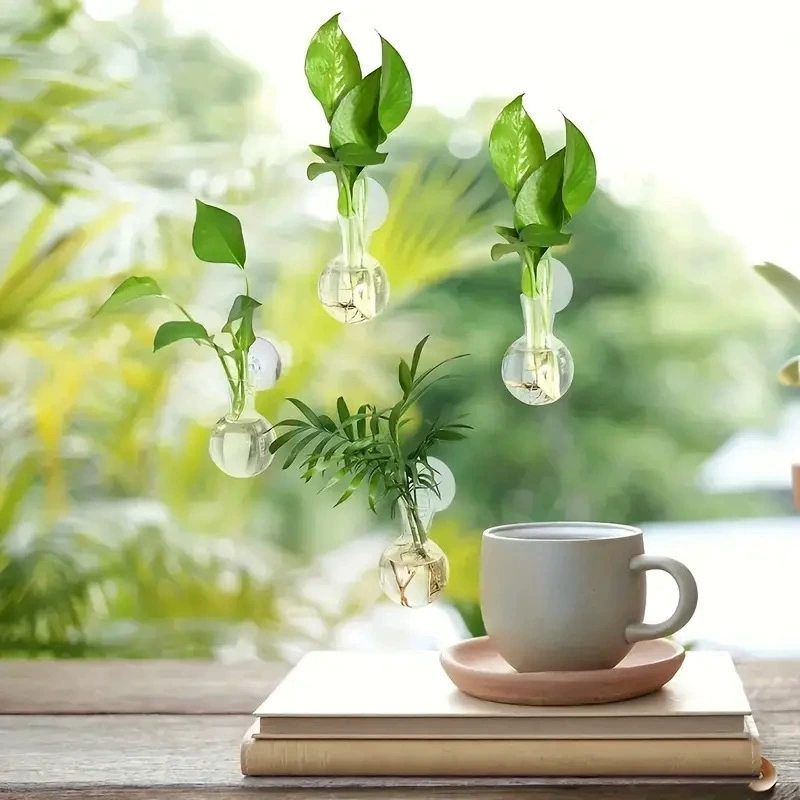 Creatieve halfronde klasse wan - Aquarium Planted Wall recensie en prijs